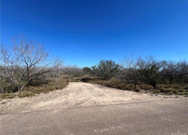 Property at 0 Los Frontones St, Rio Grande City, TX 78582