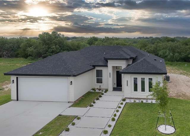 Property at 317 Palm Shores Blvd, La Joya, TX 78560, 3 beds, 2 baths