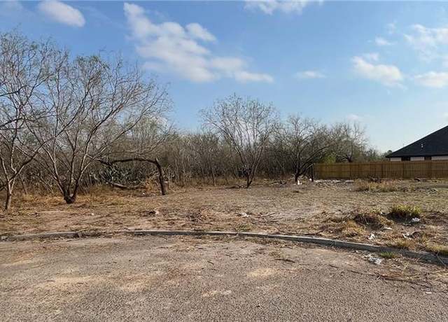 Property at 318 Sally Ave, San Juan, TX 78589