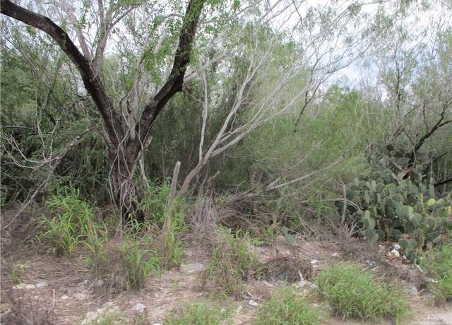 Property at 217 Charco Blanco Rd, Rio Grande City, TX 78582