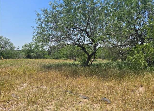 Property at 512 S Garza Ave, La Joya, TX 78560