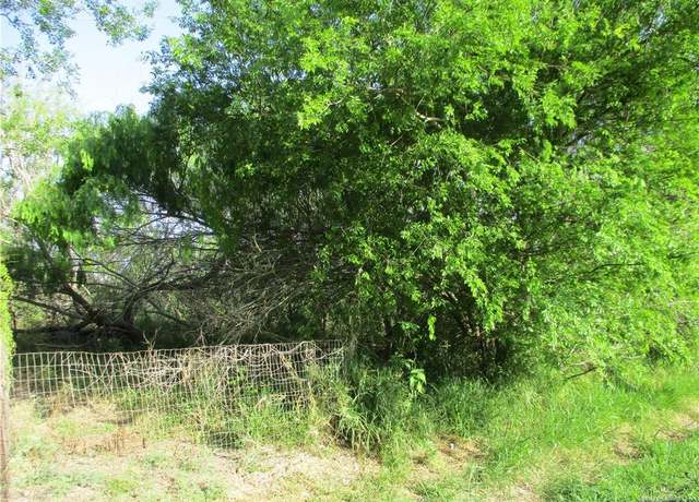 Property at 0 Cantu Rd, Santa Rosa, TX 78593