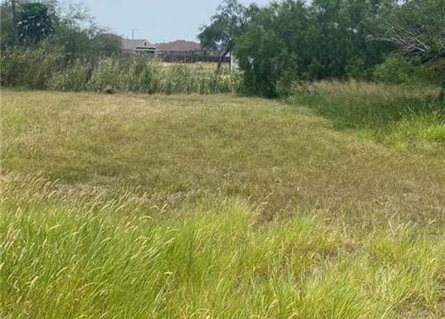 Property at 409 N Kika De La Garza Blvd, La Joya, TX 78560