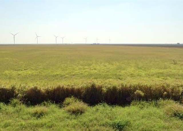 Property at 0000 FM 490, Rio Grande City, TX 78582