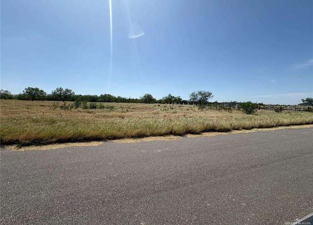 Property at 123 Woodlands Rd, Rio Grande City, TX 78582