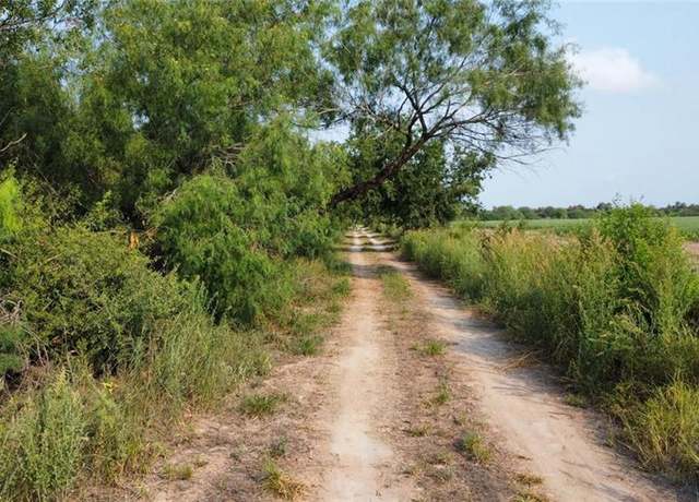 Property at 0 NE Caballo Ln NE, Edinburg, TX 78542
