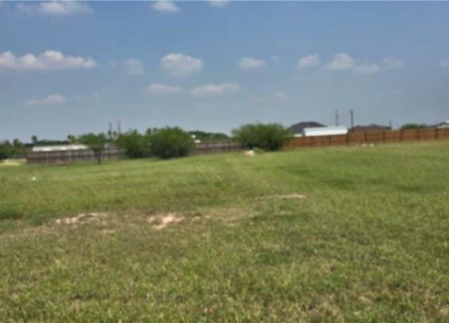 Property at 13324 Almirola St, Donna, TX 78537