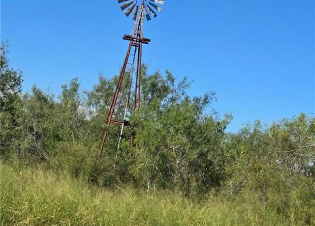 Property at 890 FM 755, Encino, TX 78353