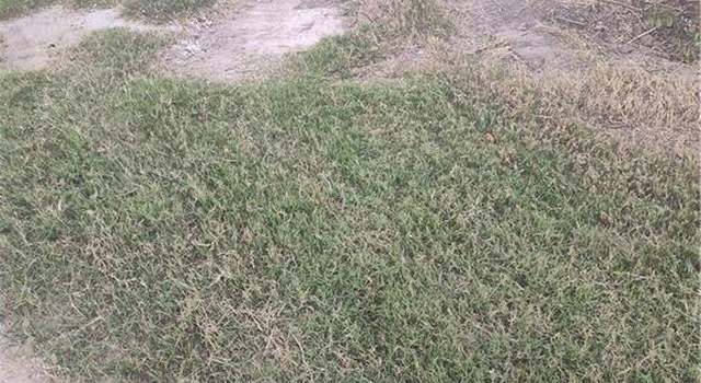 Photo of 7133 Saint Louis St, Brownsville, TX 78521