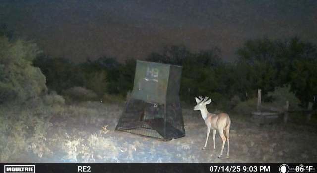 Photo of TBD County Road 173, San Diego, TX 78332