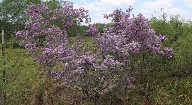Photo of 0 Medanitos Rd, San Isidro, TX 78536