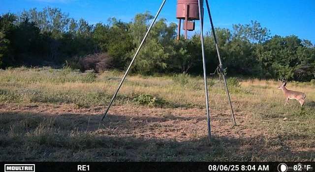 Photo of TBD Los Lobos Rd, Falcon Heights, TX 78564
