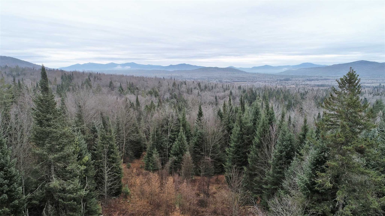 00 Transfer Station Rd Ofc Transfer, Lunenburg, VT 05906 | MLS# 4838836
