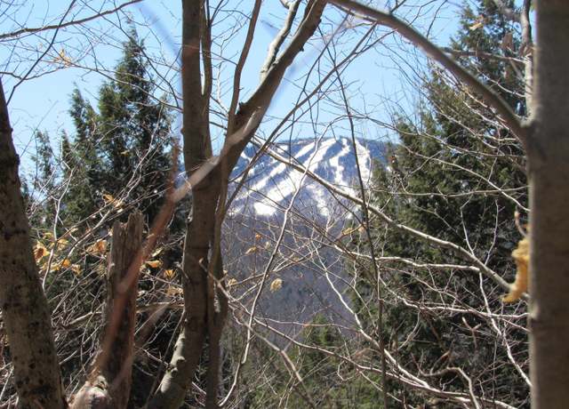 Property at 0- Stratton View Rd Unit 11.22, Winhall, VT 05340