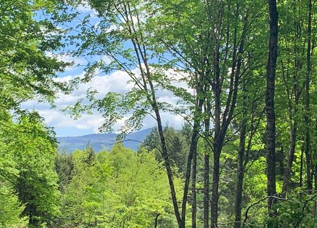 Property at 00 VT Route 14, East Montpelier, VT 05651