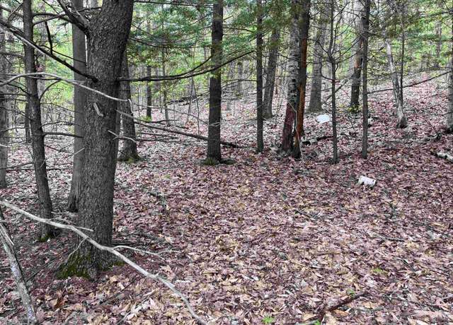 Property at Plumer Hill Rd Lot 81, Alexandria, NH 03222