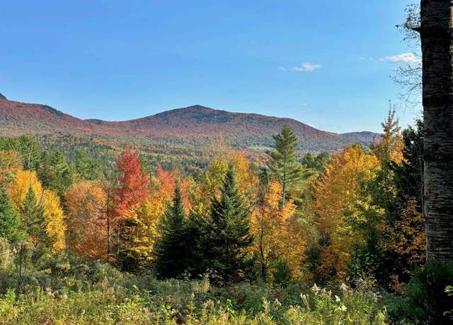 Property at 00 E Darling Hill Rd Lot 2 & Lot 3, Burke, VT 05832