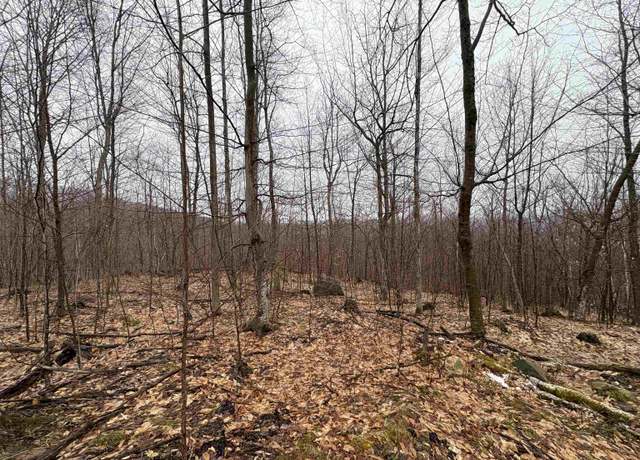 Property at 2730 Farrar Rd #5, Newport Town, VT 05857