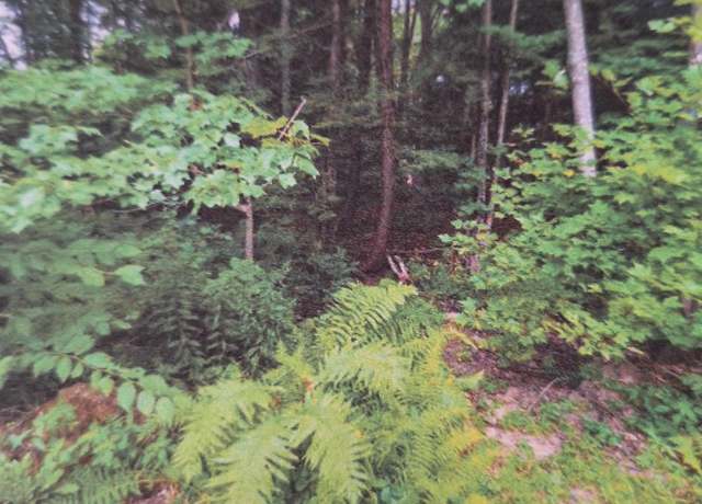 Property at 18 Robin Shore Dr, Canterbury, NH 03224