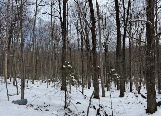 Property at 00 Westhill Rd, Montgomery, VT 05470