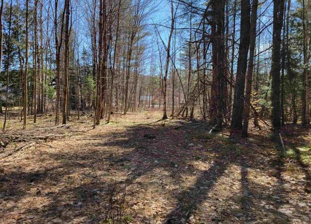 Property at Map 105, Lot 20 Lost River Rd Unit 105-20, Woodstock, NH 03262