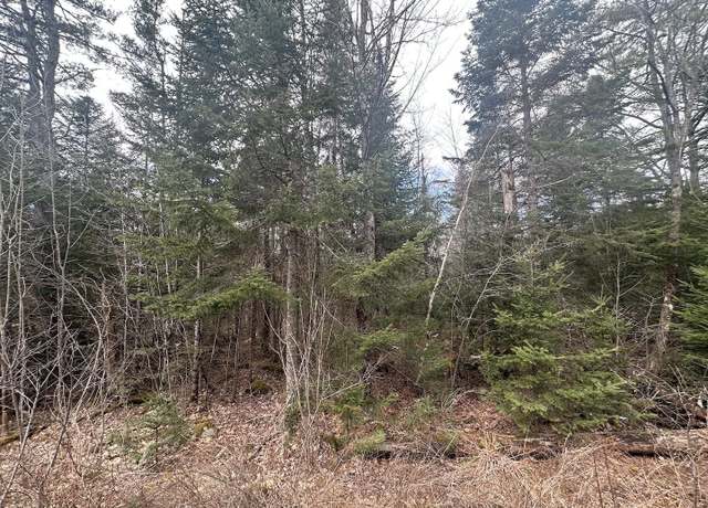 Property at 0 N Littleton Rd #9, Littleton, NH 03561