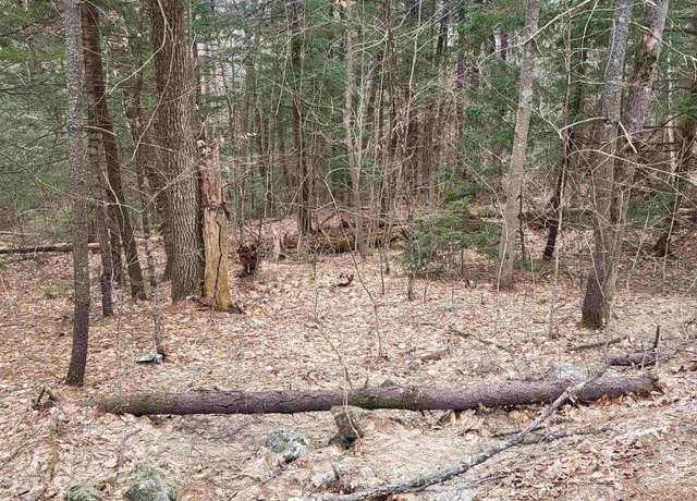 Property at 410-089-001 Eastern District Rd, Danbury, NH 03230