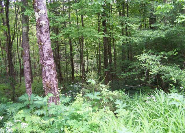 Property at 403 Fiske Rd, Rochester, VT 05767