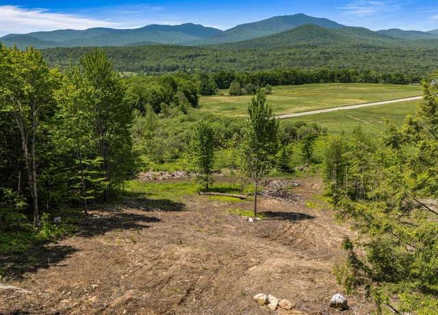 Property at 251 White Birch Rd, Morristown, VT 05661