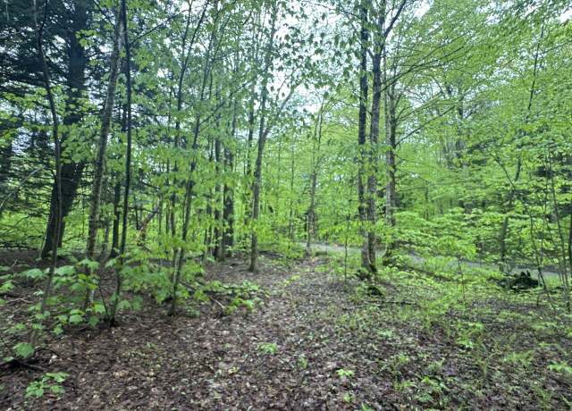 Property at 1585 Amidon Rd #3, Montgomery, VT 05471