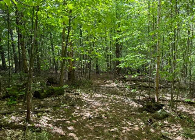 Property at Lot 4 North St #43, Dover, VT 05431