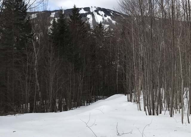 Property at 1 Pinnacle View Ln, Dover, VT 05356