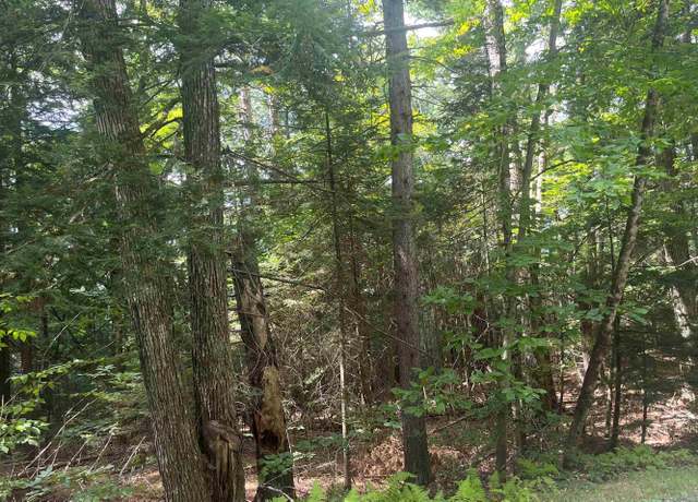 Property at 50 Longwood Dr, Grantham, NH 03753