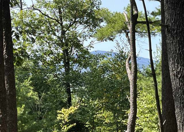 Property at Old Stoddard Rd #5, Hancock, NH 03449