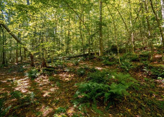 Property at 00 Turtle Rock Rd, Stoddard, NH 03464