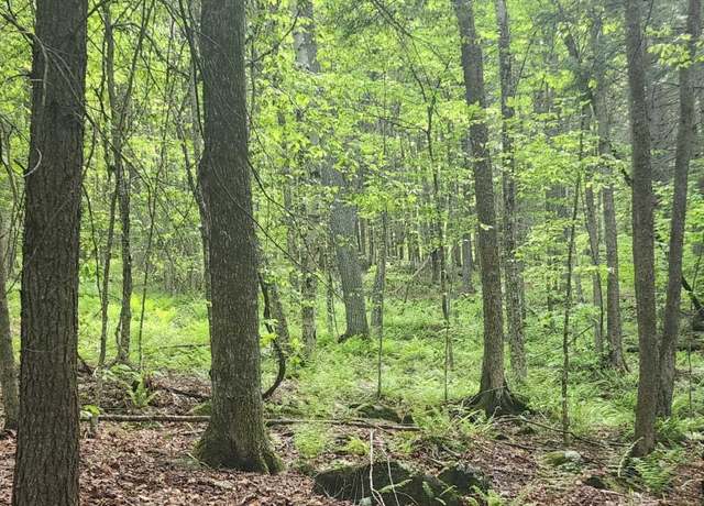 Property at 00 Tarbell Hill Rd, Weathersfield, VT 05151