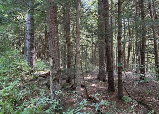Property at 000 Smith Rd, Holderness, NH 03245