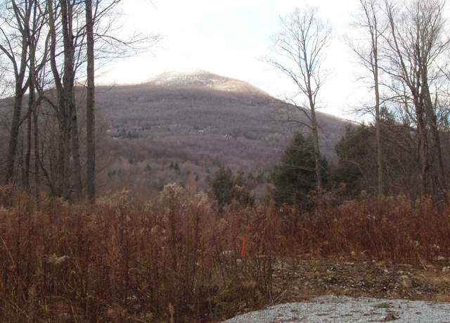 Property at 00 Finbar's Forest Rd Unit 7 West , 7 East, Manchester, VT 05255