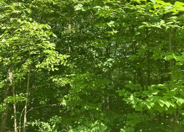 Property at Upper Howes Way Unit A-28, Wilmington, VT 05363