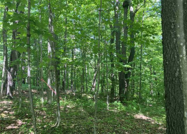 Property at Upper Howes Way Unit A-25, Wilmington, VT 05363