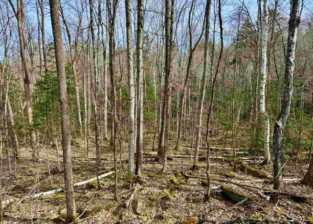 Property at 0 Skiway Ter #000229, Haverhill, NH 03774