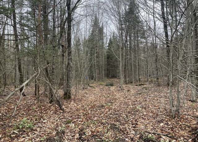 Property at 2319 E Hill Rd, Woodbury, VT 05681