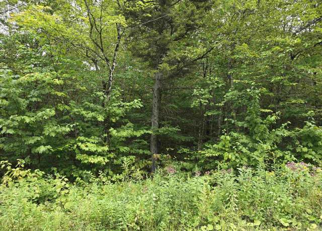 Property at 0 Oberhugel Rd, Stamford, VT 05352