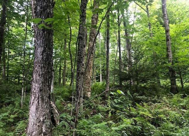 Property at 0 Jones Ln, Wolcott, VT 05680