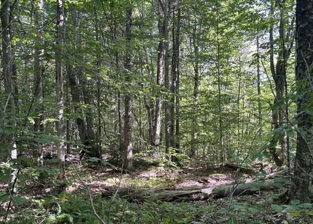 Property at Faxon Hill Rd Unit Map 11 Lot 69-1, Washington, NH 03280