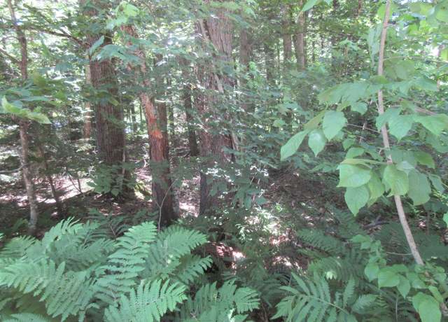 Property at 40 Ellen Brook Rd, Hillsborough, NH 03244