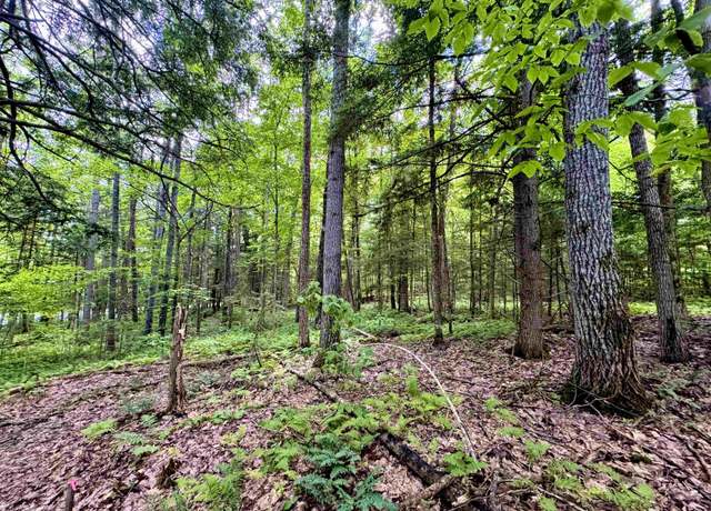 Property at 0 Tyler Farm Rd #7, Newbury, VT 05051