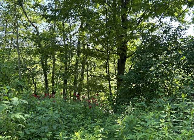 Property at 2871 Texas Hill Rd, Hinesburg, VT 05461