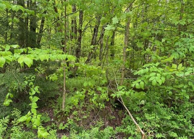 Property at 74B Wimble Rd, Fairfax, VT 05454