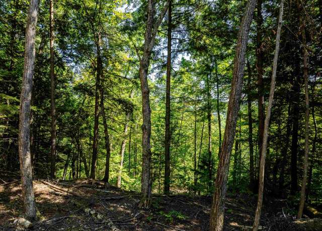 Property at 00 Arbor Ln Lot 12, Duxbury, VT 05676
